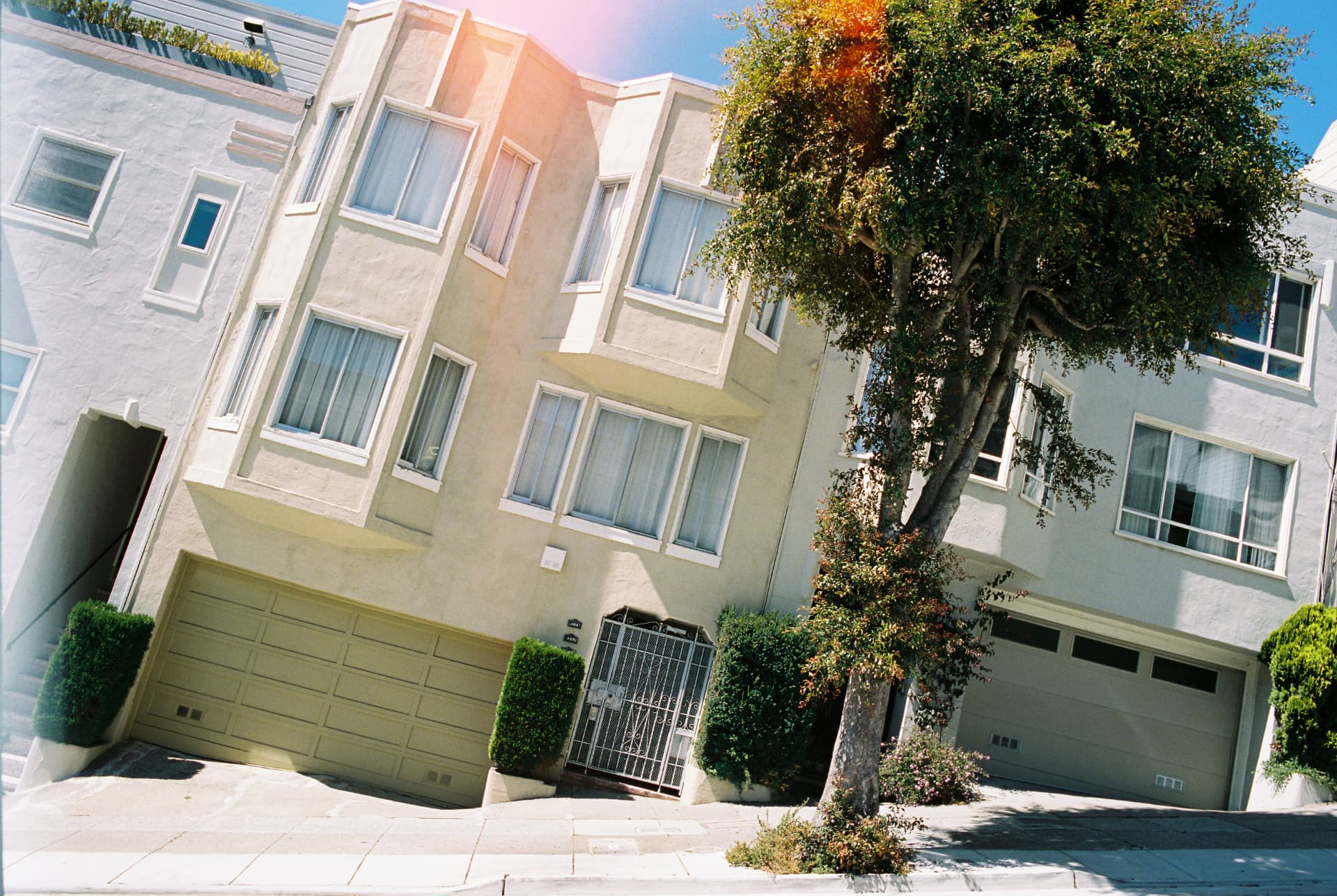 Pastel-colored houses and a tree on a sunny sloping street